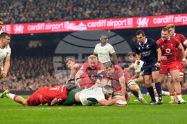 Wales South Africa Rugby