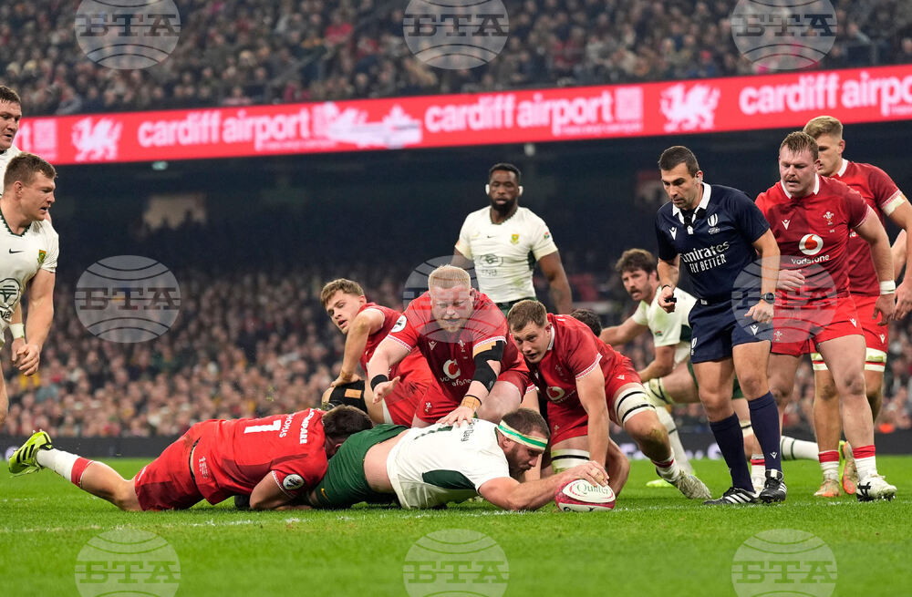 Wales South Africa Rugby