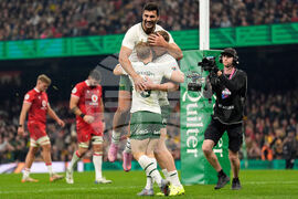 Wales South Africa Rugby