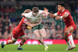 Wales South Africa Rugby