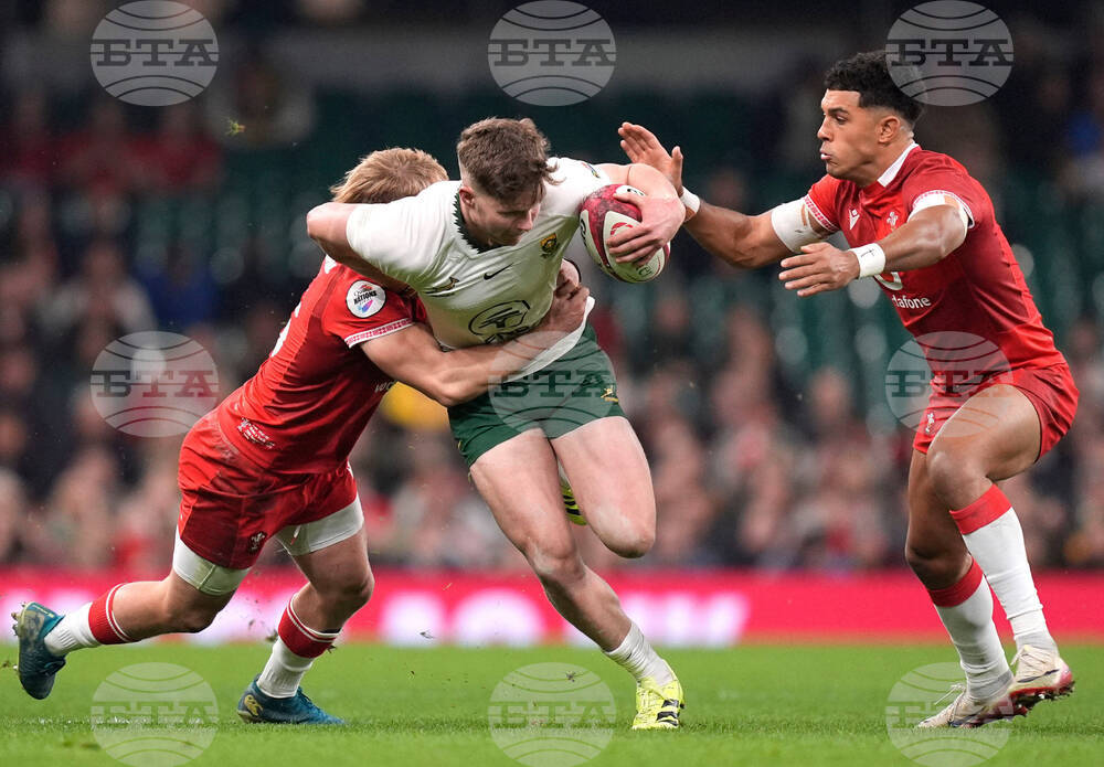 Wales South Africa Rugby