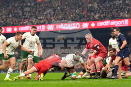 Wales South Africa Rugby