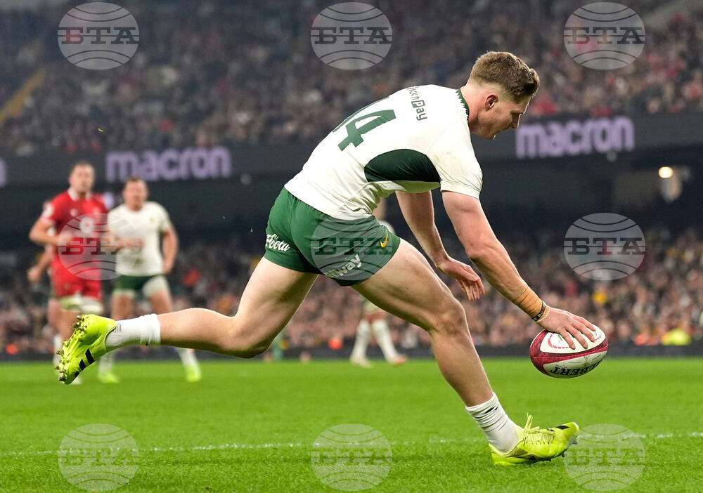 Wales South Africa Rugby