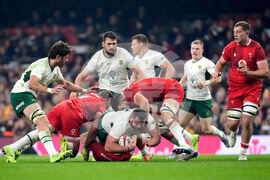 Wales South Africa Rugby
