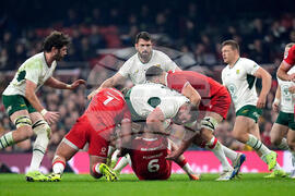 Wales South Africa Rugby