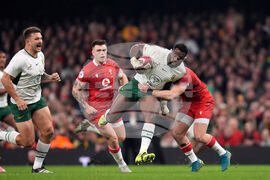 Wales South Africa Rugby