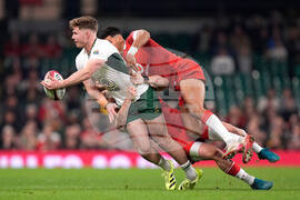 Wales South Africa Rugby