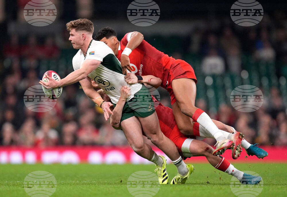 Wales South Africa Rugby