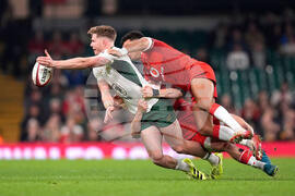 Wales South Africa Rugby