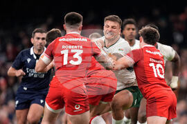 Wales South Africa Rugby