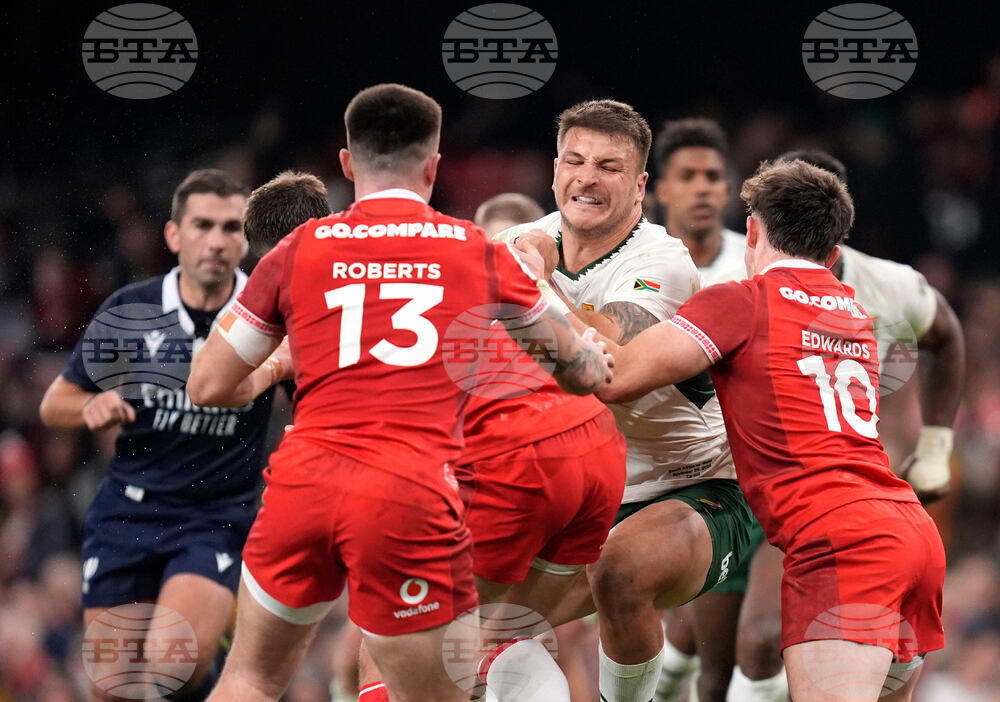 Wales South Africa Rugby