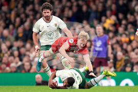 Wales South Africa Rugby