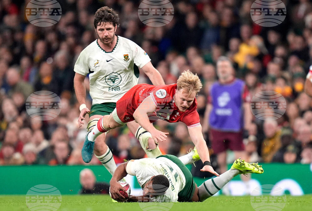 Wales South Africa Rugby