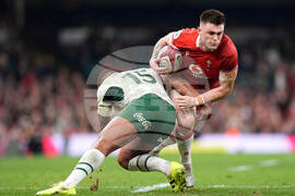 Wales South Africa Rugby