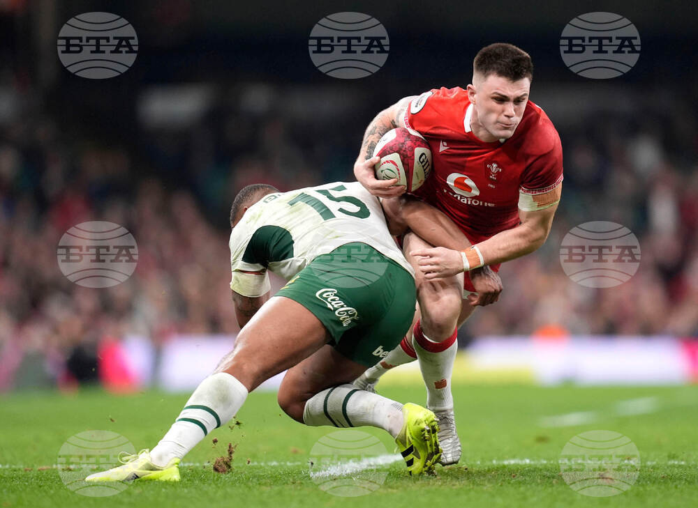 Wales South Africa Rugby