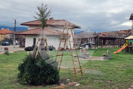 Село Скриняно - младежи - коледна украса