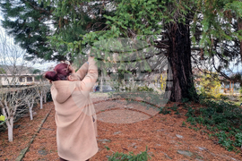 Село Скриняно - младежи - коледна украса