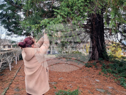 Село Скриняно - младежи - коледна украса