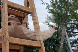 Село Скриняно - младежи - коледна украса