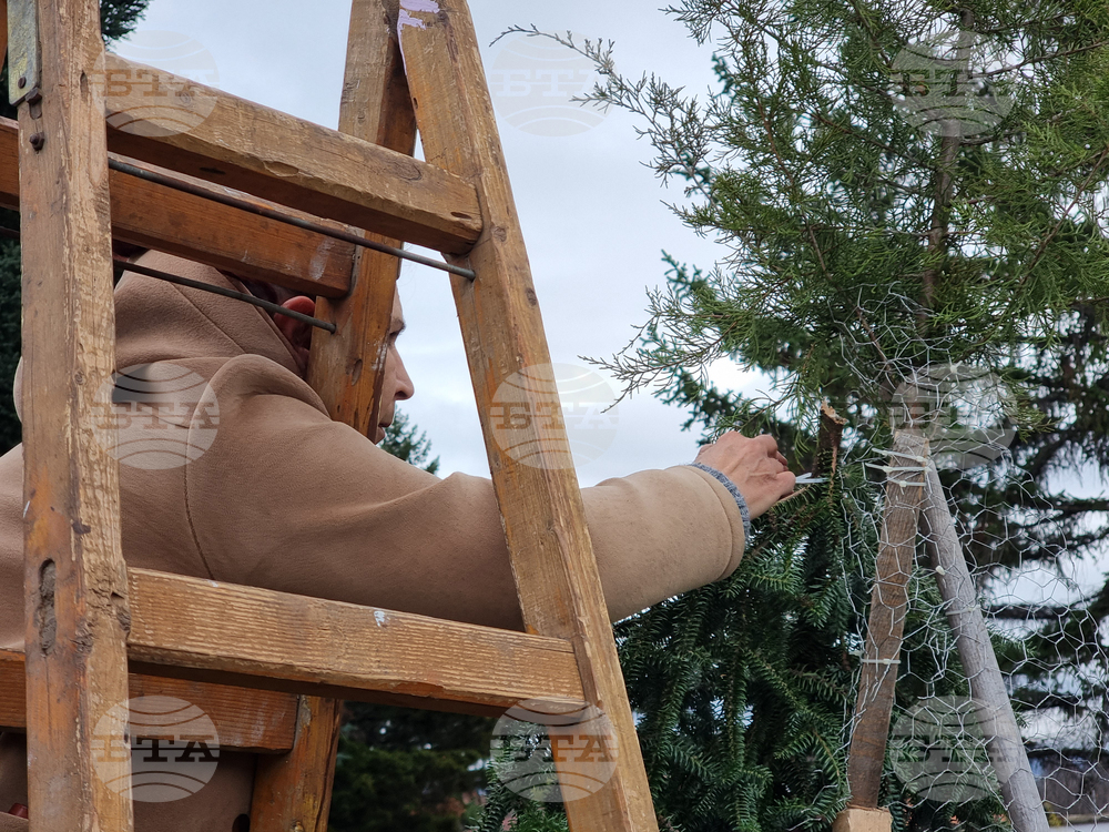 Село Скриняно - младежи - коледна украса