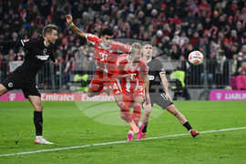 Germany Bundesliga Soccer