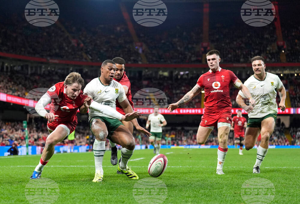 Wales South Africa Rugby