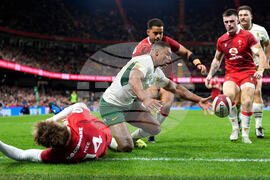 Wales South Africa Rugby