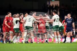 Wales South Africa Rugby