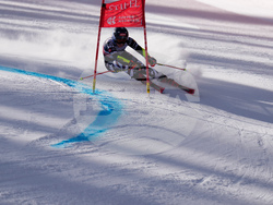 United States World Cup Giant Slalom Skiing