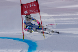 United States World Cup Giant Slalom Skiing