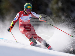 United States World Cup Giant Slalom Skiing