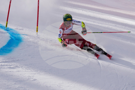 United States World Cup Giant Slalom Skiing