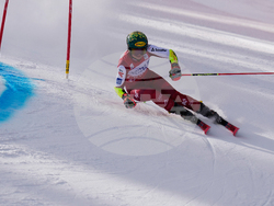 United States World Cup Giant Slalom Skiing