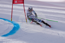United States World Cup Giant Slalom Skiing