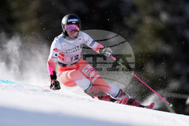 United States World Cup Giant Slalom Skiing