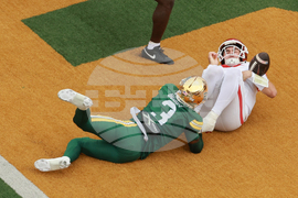 Houston Baylor Football