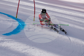 United States World Cup Giant Slalom Skiing
