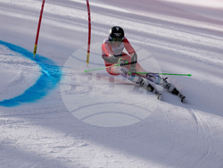 United States World Cup Giant Slalom Skiing