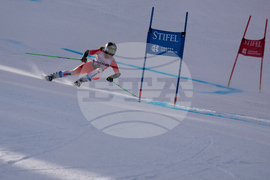 United States World Cup Giant Slalom Skiing