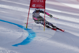 United States World Cup Giant Slalom Skiing