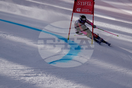 United States World Cup Giant Slalom Skiing