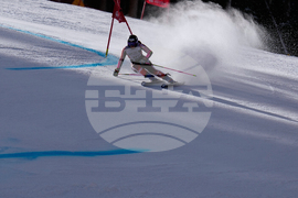 United States World Cup Giant Slalom Skiing