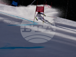 United States World Cup Giant Slalom Skiing