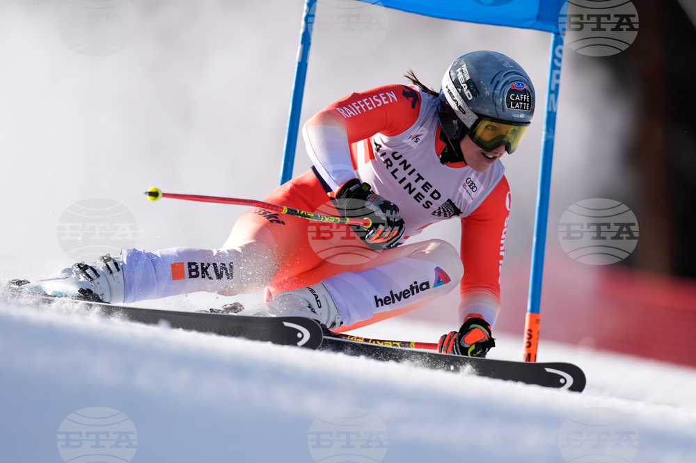 United States World Cup Giant Slalom Skiing