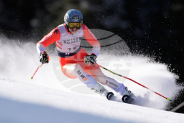 United States World Cup Giant Slalom Skiing