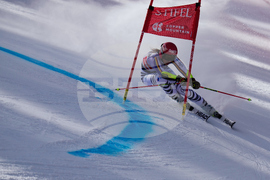 United States World Cup Giant Slalom Skiing
