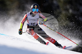 United States World Cup Giant Slalom Skiing