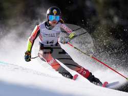 United States World Cup Giant Slalom Skiing