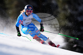 United States World Cup Giant Slalom Skiing