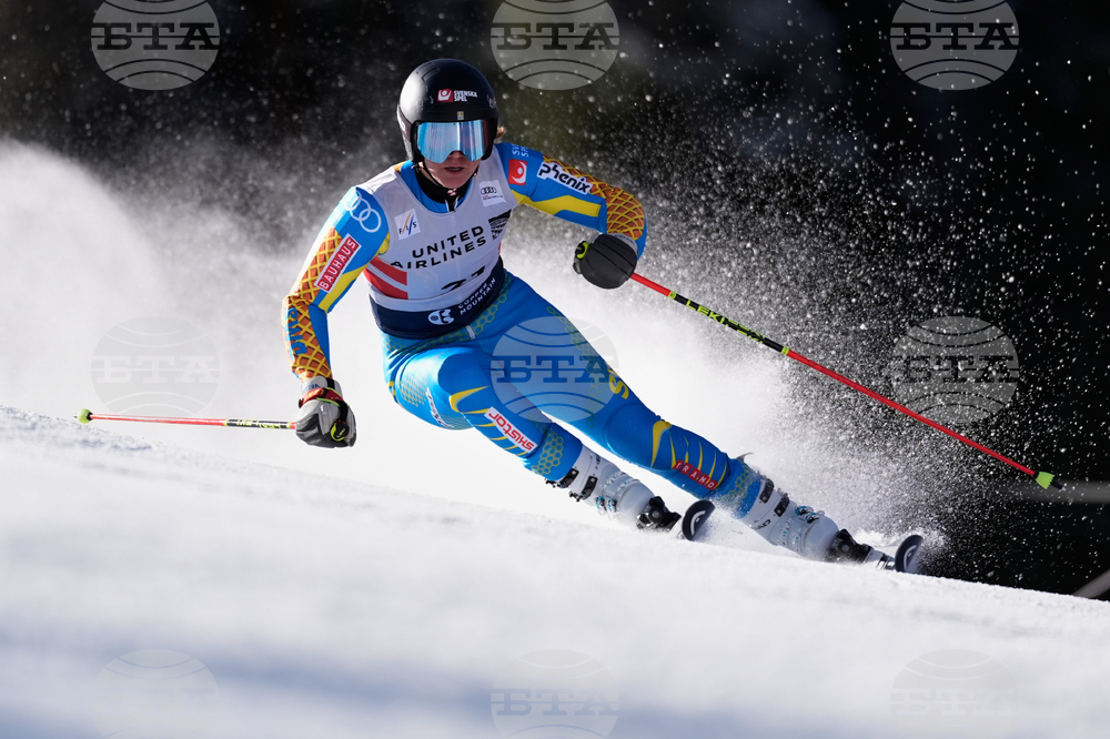 United States World Cup Giant Slalom Skiing